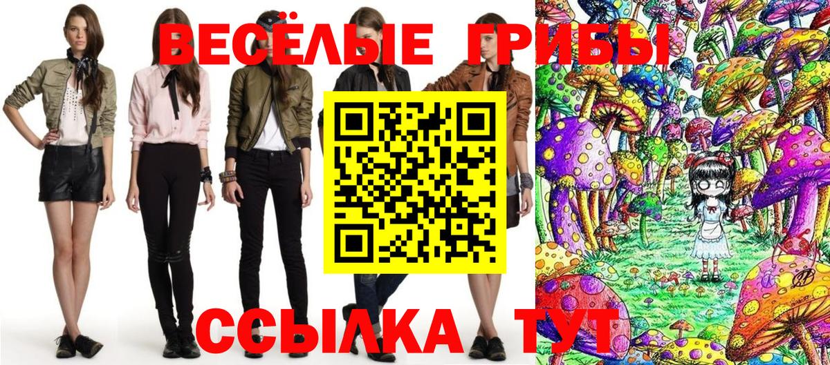 Асбест  Псилоцибиновые грибы Cubensis  Вход с VPN  Галлюциногенные грибы ЛСД 