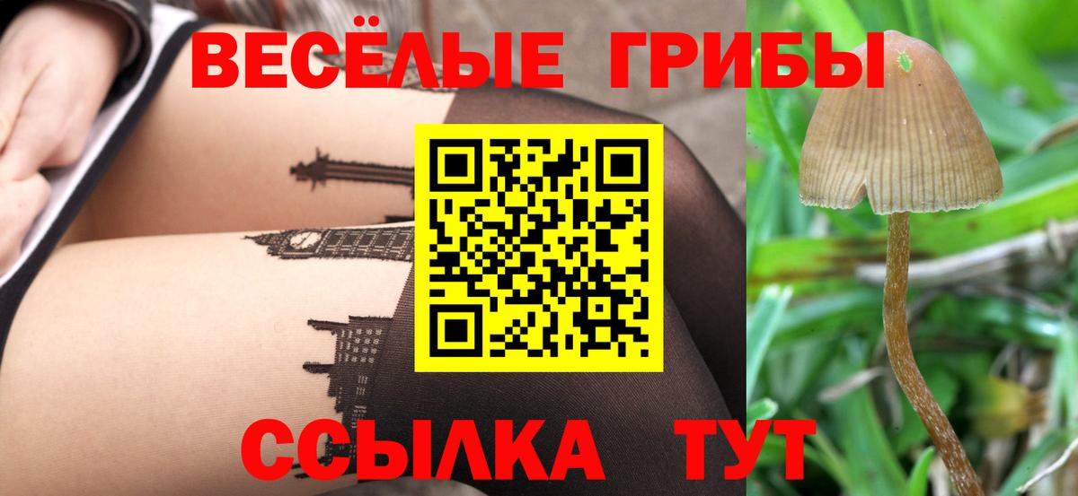 Псилоцибиновые грибы Cubensis Асбест